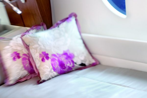 RODMAN Muse 50 - vedette avec Flybridge