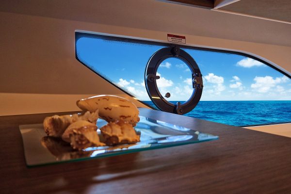 RODMAN Spirit 42 - bateau moteur pêche et plaisance