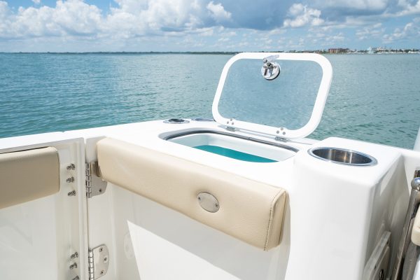 Detail view of DC 326 transom live well.